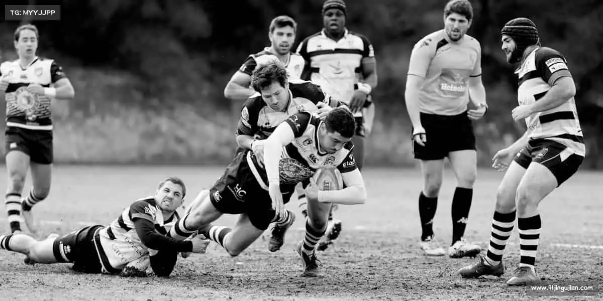 leyu体育登录网页入口🏓小球转动大梦想,汗水铸就新辉煌!你的体育之旅,从这里开始~